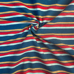 Cotton Jersey Stripe · blue/yellow